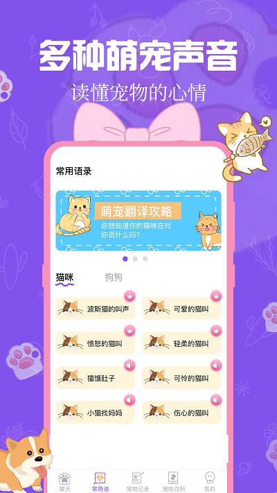 趣味动物翻译器app下载,趣味动物翻译器,翻译app